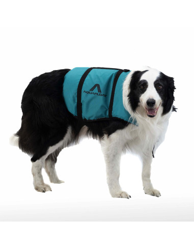 Salvavidas Aquafloat Pet para perros