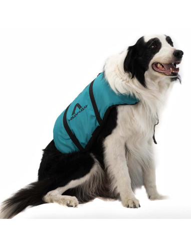 Salvavidas Aquafloat Pet para perros